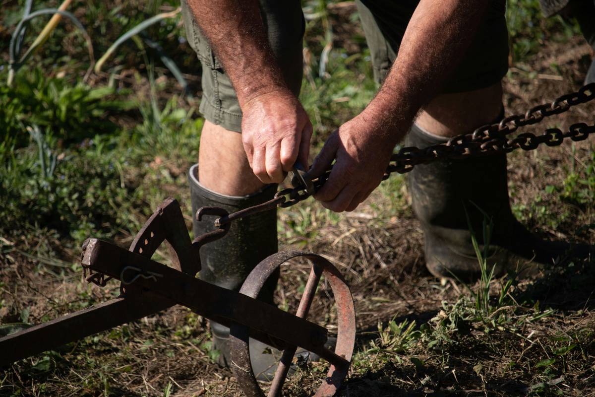Infographic comparing tillers vs. cultivators: front-tine tillers for medium jobs, rear-tine for heavy duty, electric cultivators for light maintenance