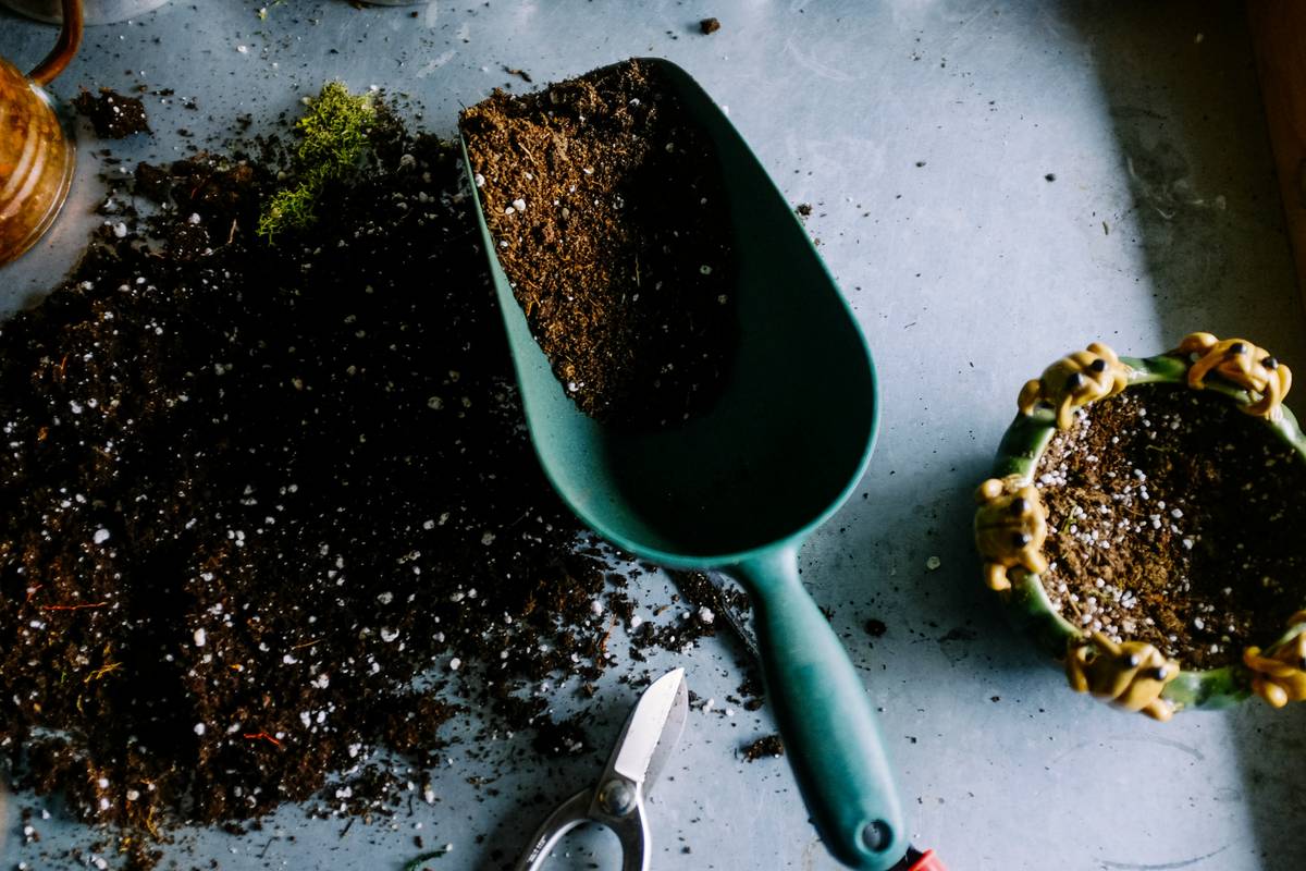 Planting Aid Cultivator What Is a Game-Changer for Your Garden?