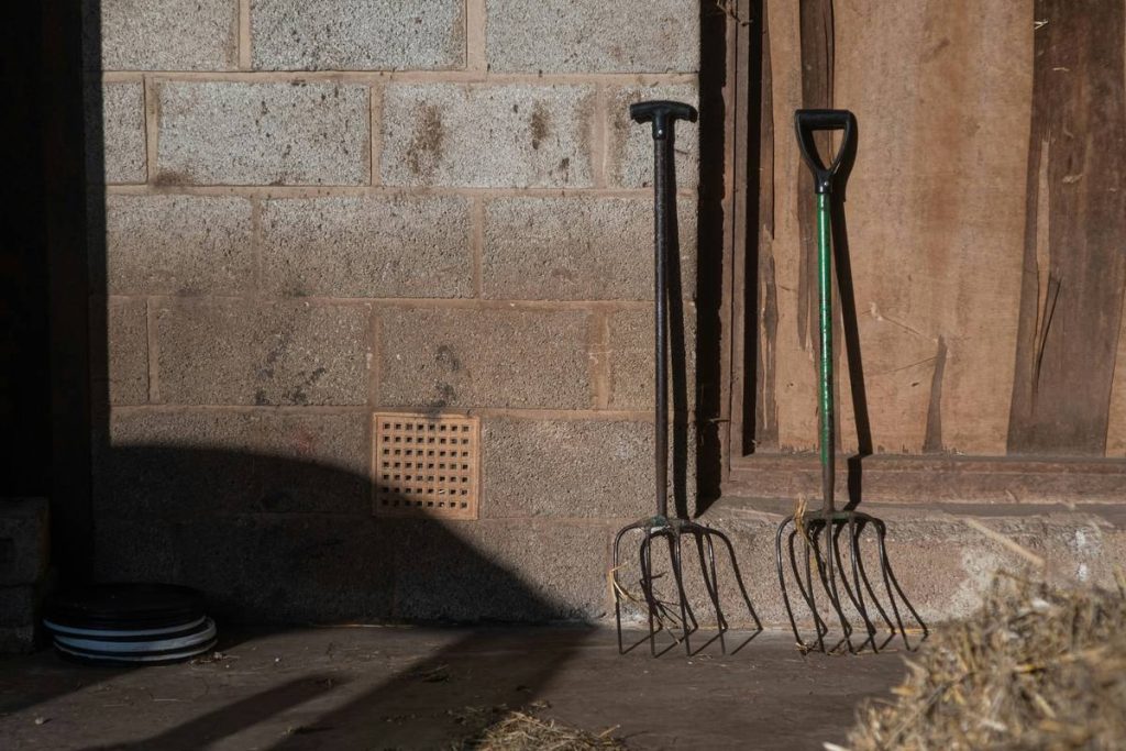 Planting Aid Cultivator: What Is Purpose, and Why Your Garden Needs One