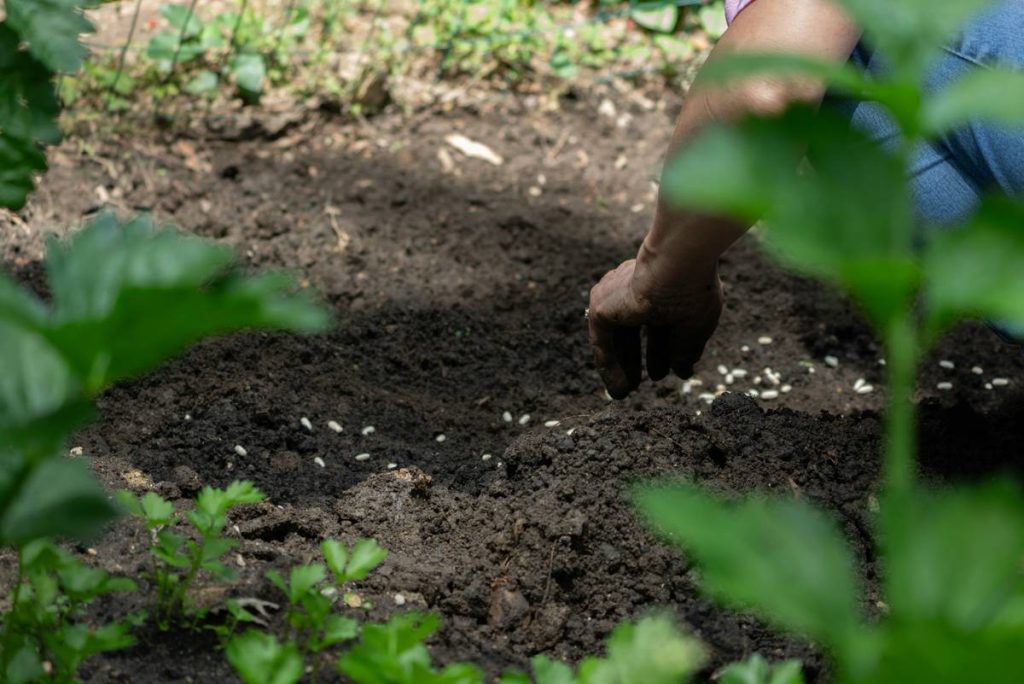 Soil Cultivator Attachment: Your Secret Weapon for Effortless Garden Bed Prep