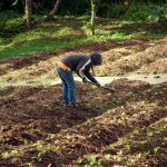 How to Use Soil Cultivator Like a Pro: A Hands-On Guide for Gardeners Who Hate Backaches