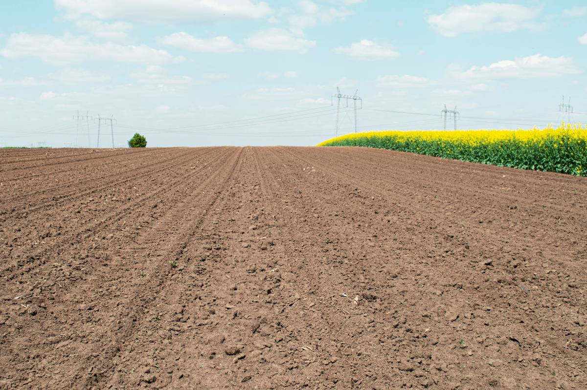 how to use garden soil cultivator on dry, crumbly soil showing correct tine depth