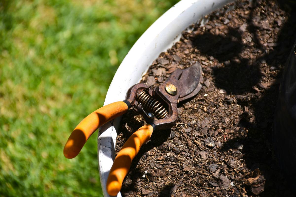 The Ultimate Guide to Choosing and Using a Gardening Hand Cultivator (Without Wrecking Your Back or Soil)
