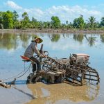 What Does a Soil Cultivator Do? The Truth About Tilling, Aeration, and Root Health