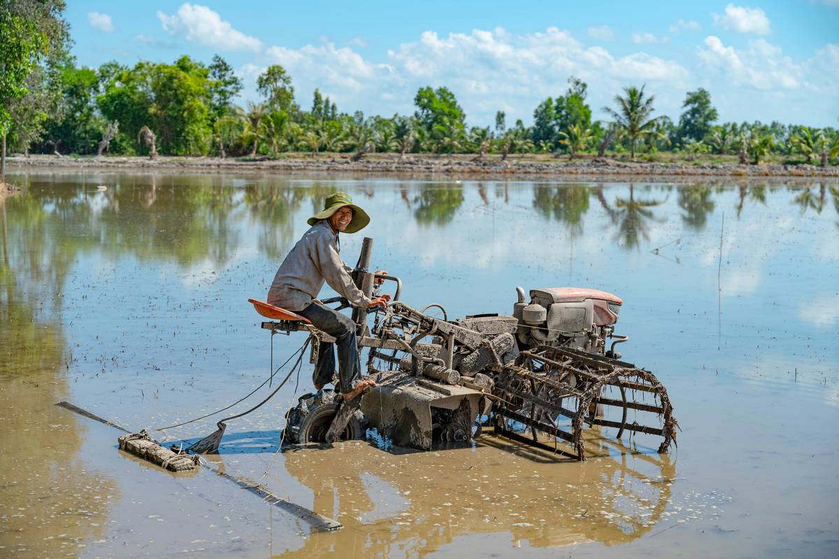 What Does a Soil Cultivator Do? The Truth About Tilling, Aeration, and Root Health