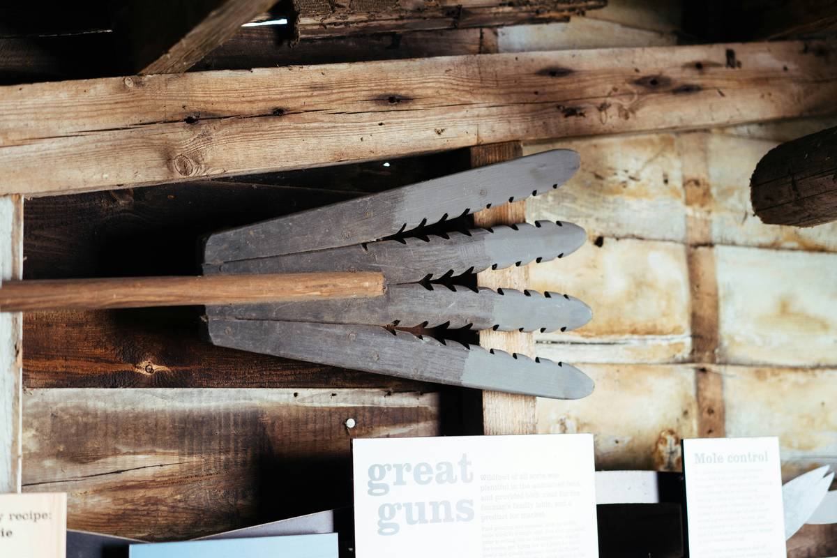 What Is a Cultivator? The Overlooked Tool That Can Make or Break Your Garden