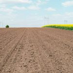 What Is a Garden Cultivator? Your No-BS Guide to Smoother Soil & Happier Plants